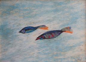 Gopal Ghose, Untitled (Fish), 1961, Pastel on paper